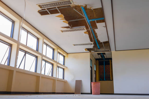 Best 24-hour water damage restoration  in Aurora, MN