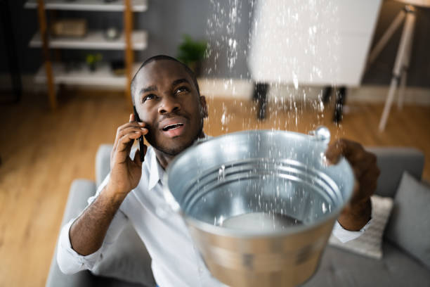 Best Basement water damage restoration  in Aurora, MN