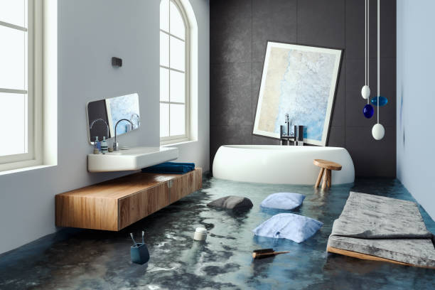 Best Sewage cleanup and water damage restoration  in Aurora, MN