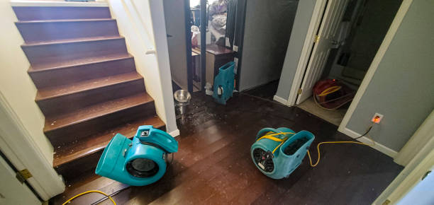 Best Water damage restoration company  in Aurora, MN