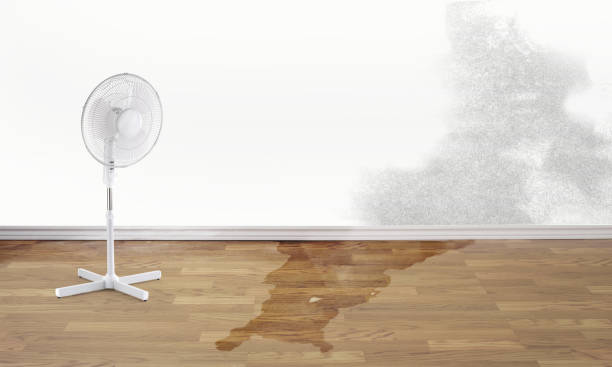 Best Ceiling water damage repair  in Aurora, MN