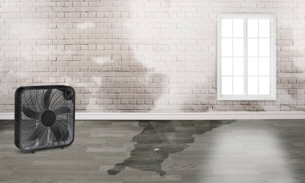 Aurora, MN Water damage restoration Company