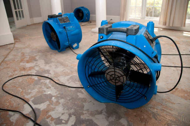 Aurora, MN Water damage restoration Pros