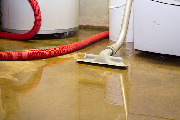 Best Flooded house restoration  in Aurora, MN