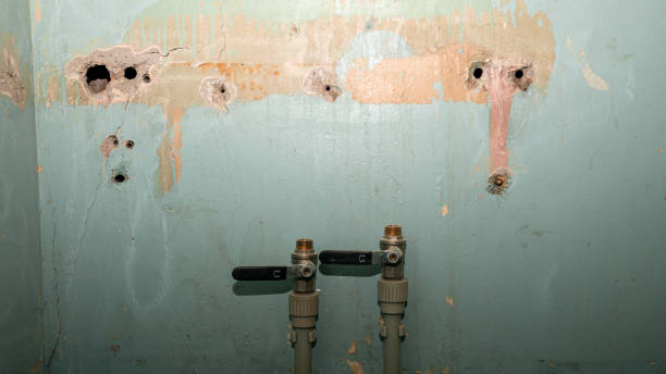 Best Emergency water damage restoration  in Aurora, MN