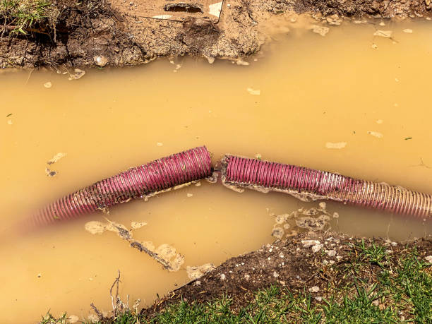 Best Mold removal after water damage  in Aurora, MN