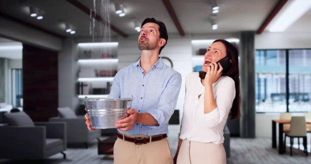 Best Residential water damage restoration  in Aurora, MN